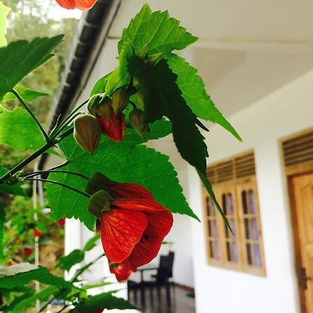 Green View Guest Inn Nallathanniya Εξωτερικό φωτογραφία